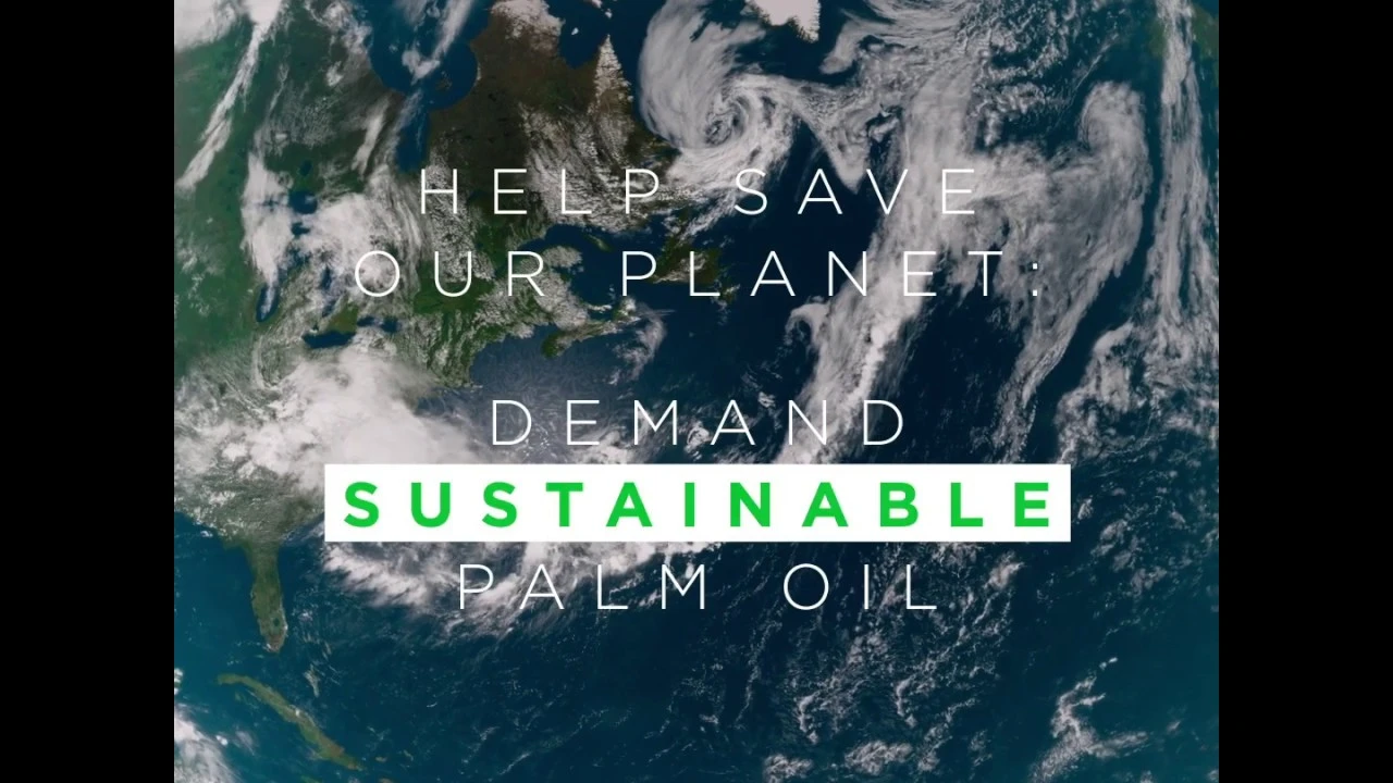 Help Save Our Planet: Demand Sustainable Palm Oil